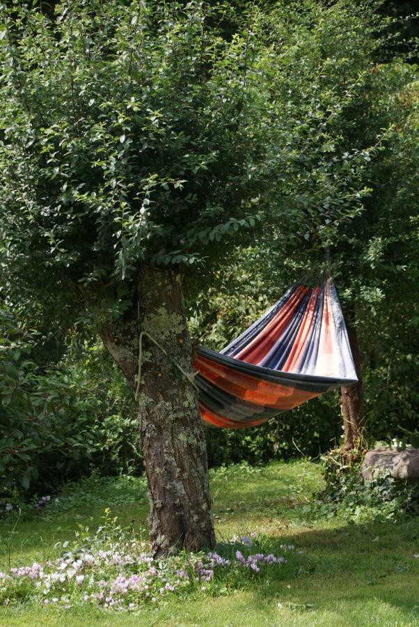 La Chaine Saint-Jean-du-Bois Exteriör bild