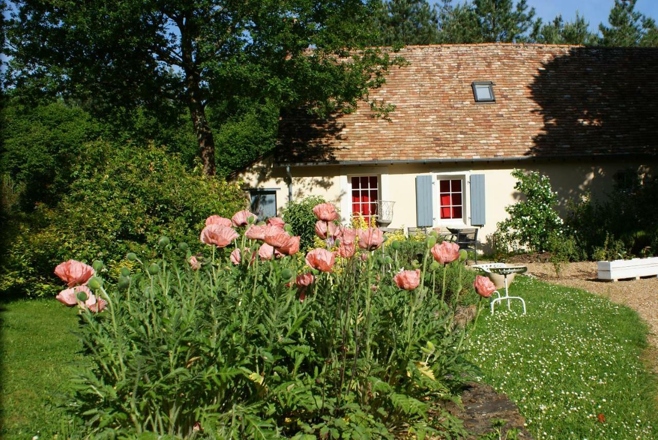 La Chaine Saint-Jean-du-Bois Exteriör bild